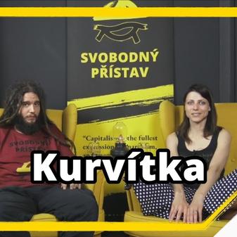 Kanál Svobodného přístavu