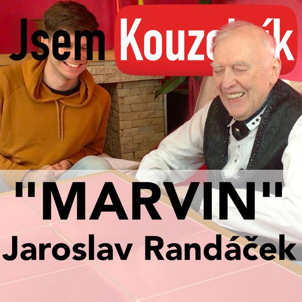 Jsem Pilot