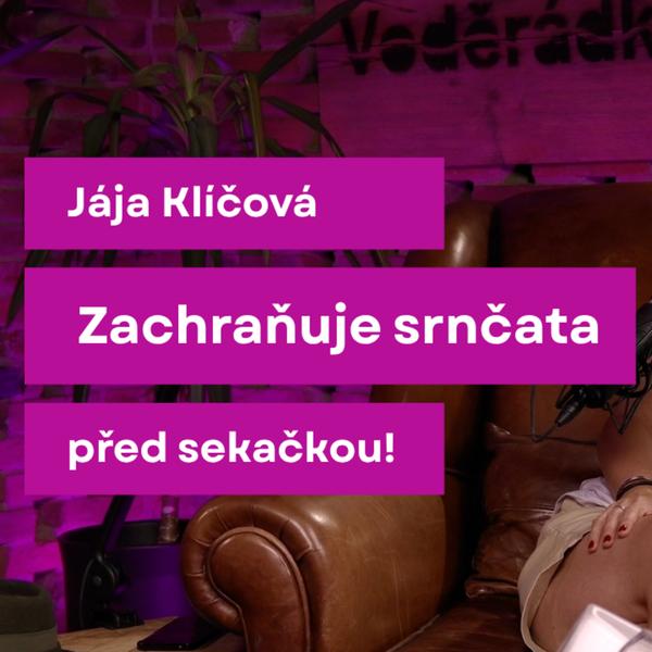 Sukně v lese