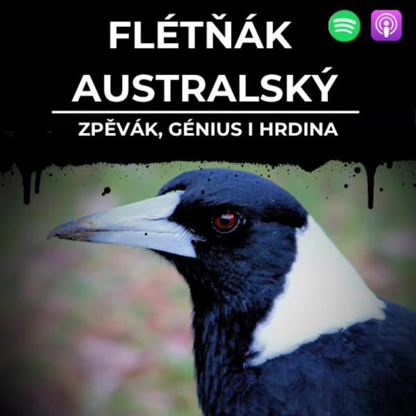 Svět pod lupou