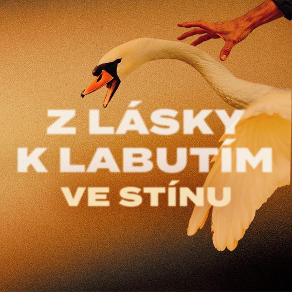 Ve stínu