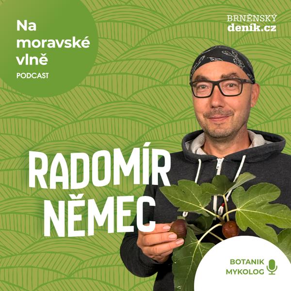 Na moravské vlně